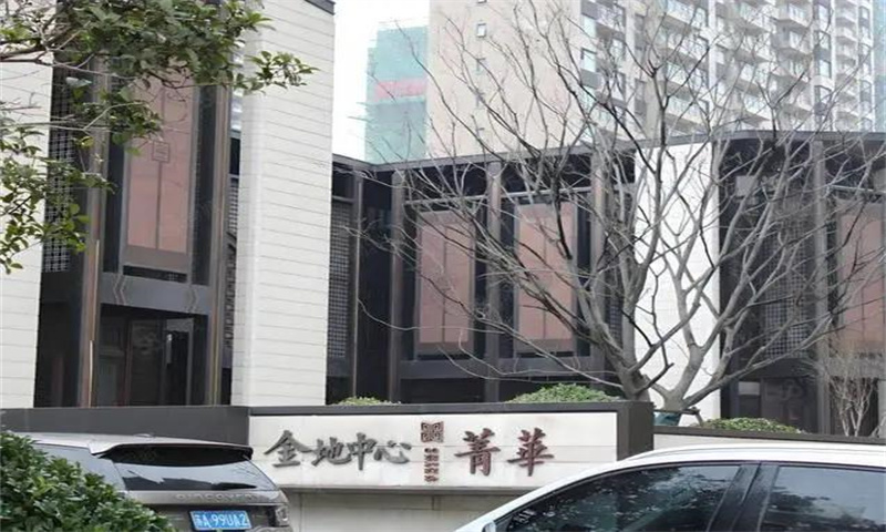 金地中心菁华  